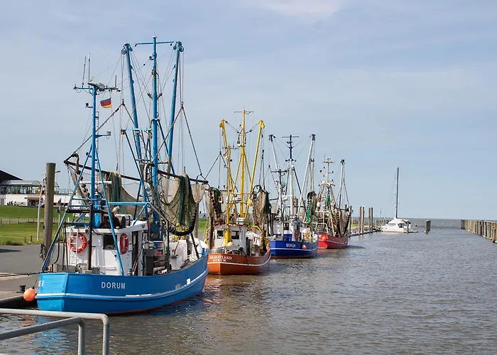 Knechtsand 30 بيت للعطل